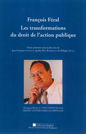 Les transformations du droit de l'action publique - François Féral