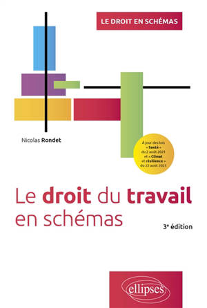 Le droit du travail en schémas - Nicolas Rondet