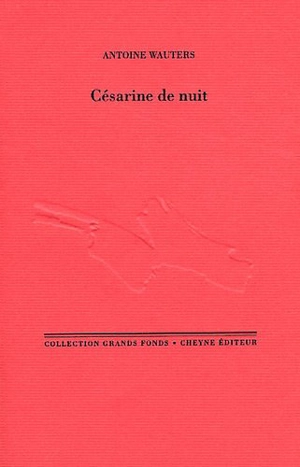 Césarine de nuit - Antoine Wauters