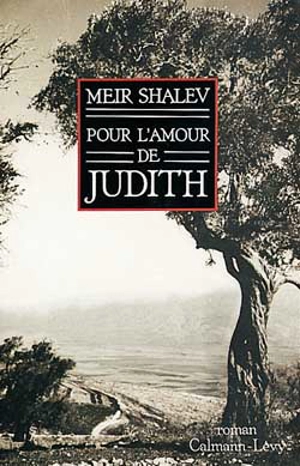 Pour l'amour de Judith - Meir Shalev