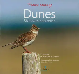 Dunes d'Armorique : de la Vendée au Cotentin, faune, flore et itinéraires - Yann Février