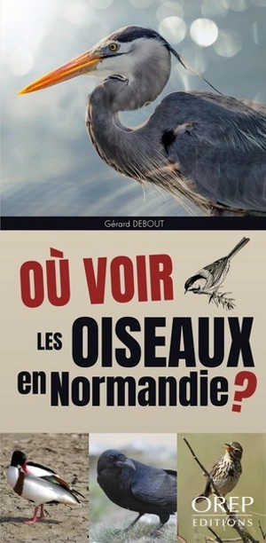 Où voir les oiseaux en Normandie ? - Gérard Debout