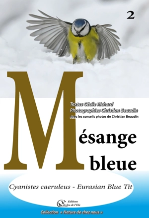 Mésange bleue : cyanistes caeruleus, Eurasian Blue tit - Cécile Richard