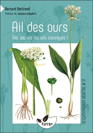 Ail des ours : aïe, aïe, aïe, les ails sauvages ! - Bernard Bertrand