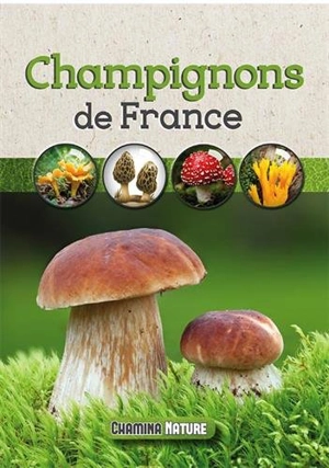 Champignons de France