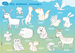 Les animaux sauvages - Anne Baudier