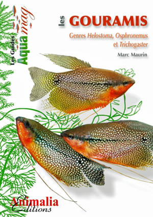 Les gouramis : genres helostoma, osphronemus et trichogaster - Marc Maurin