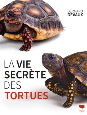 La vie secrète des tortues - Bernard Devaux