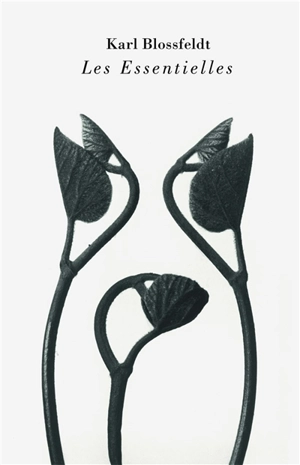 Les essentielles - Karl Blossfeldt