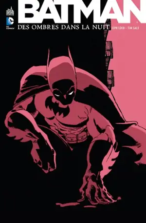 Batman. Des ombres dans la nuit - Jeph Loeb