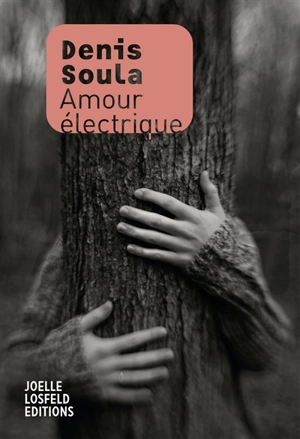 Amour électrique - Denis Soula