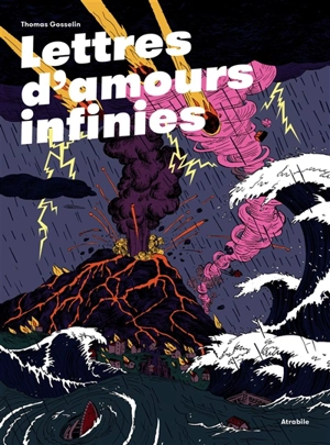 Lettres d'amours infinies - Thomas Gosselin