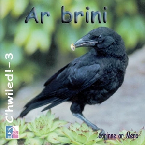 Ar brini - Corinne Ar Mero