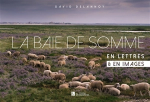 La baie de Somme en lettres & en images - David Delannoy