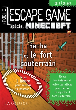 Sacha et le fort souterrain : spécial Minecraft - Vincent Raffaitin