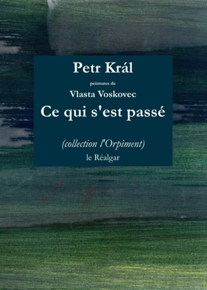 Ce qui s'est passé - Petr Kral