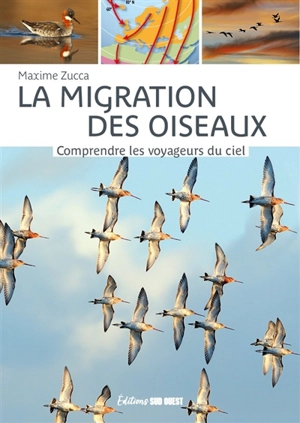 La migration des oiseaux : comprendre les voyageurs du ciel - Maxime Zucca