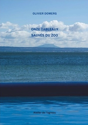 Onze tableaux sauvés du zoo : la montagne Sainte-Victoire - Olivier Domerg