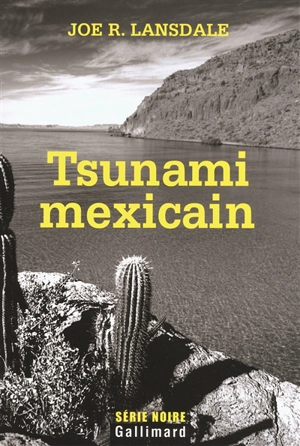 Tsunami mexicain - Joe R. Lansdale