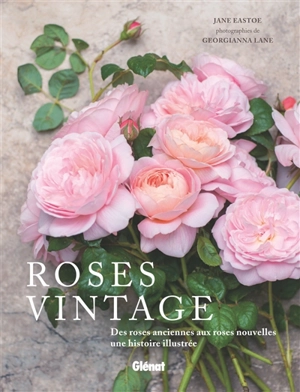 Roses vintage : des roses anciennes aux roses nouvelles : une histoire illustrée - Jane Eastoe