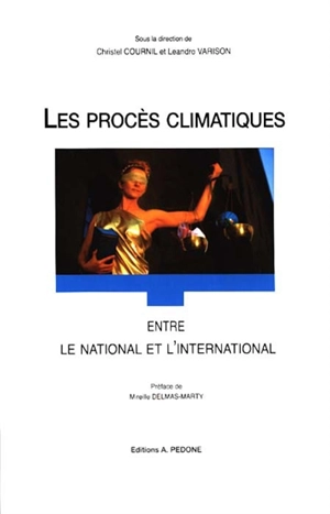 Les procès climatiques : entre le national et l'international