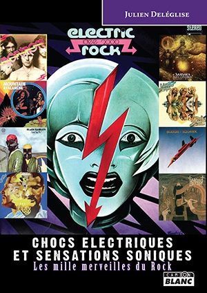 Chocs électriques et sensations soniques : les mille merveilles du rock - Julien Deléglise