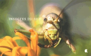 Insectes du Sud - Alain Fournier