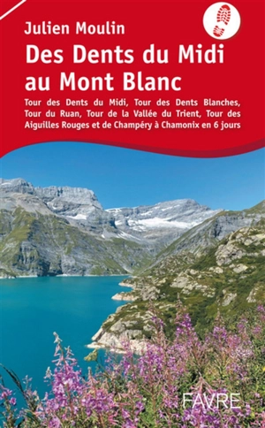 Des dents du Midi au mont Blanc : tour des dents du Midi, tour des dents blanches, tour du Ruan, tour de la vallée du Trient, tour des Aiguilles rouges et de Champéry à Chamonix en 6 jours - Julien Moulin