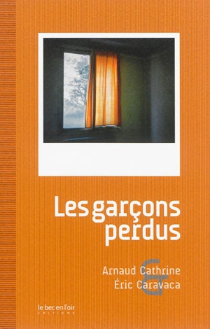 Les garçons perdus - Arnaud Cathrine