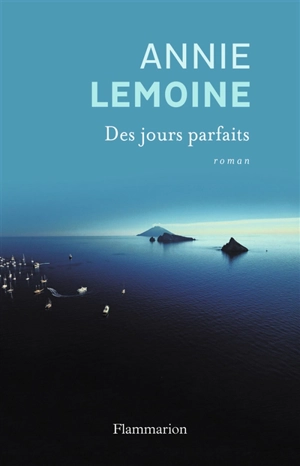 Des jours parfaits - Annie Lemoine