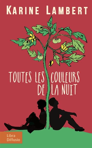 Toutes les couleurs de la nuit - Karine Lambert