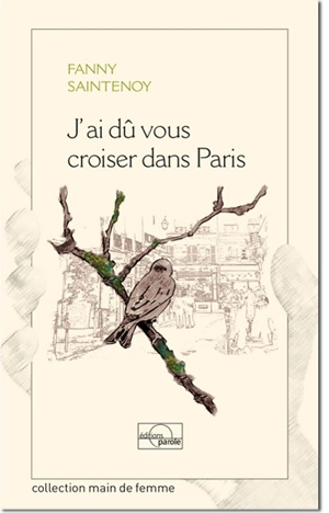 J'ai dû vous croiser dans Paris - Fanny Saintenoy