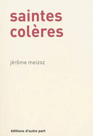 Saintes colères - Jérôme Meizoz