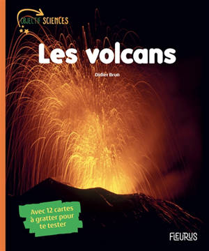 Les volcans - Didier Brun