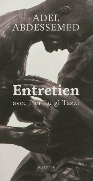 Entretien avec Pier Luigi Tazzi - Adel Abdessemed