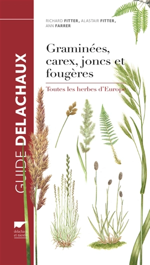 Guide des graminées, carex, joncs et fougères : toutes les herbes d'Europe - Richard Fitter