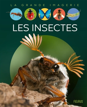 Les insectes - Emilie Beaumont