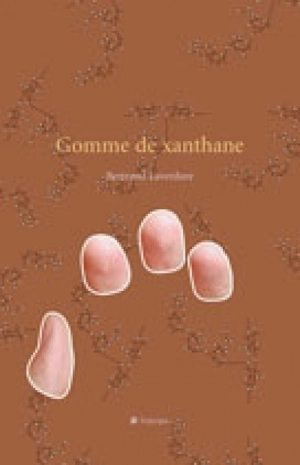 Gomme de xanthane - Bertrand Laverdure