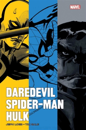 Daredevil : yellow. Spider-Man : blue. Hulk : gray - Jeph Loeb