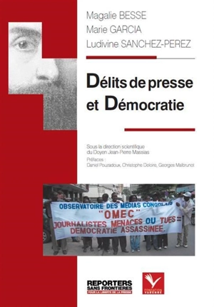 Délits de presse et démocratie - Magalie Besse