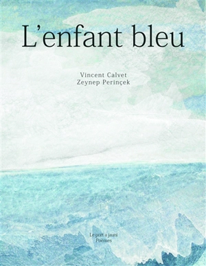 L'enfant bleu - Vincent Calvet