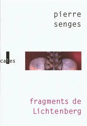 Fragments de Lichtenberg - Pierre Senges