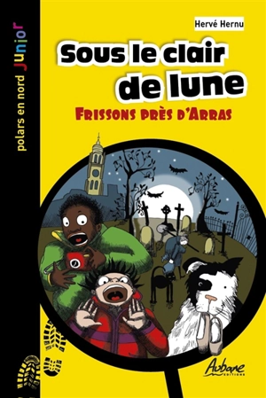 Une aventure de Léo Lemoine. Sous le clair de lune : frissons près d'Arras - Hervé Hernu