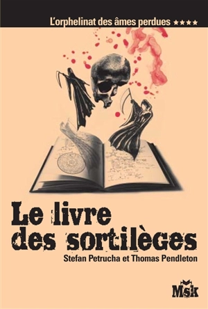 L'orphelinat des âmes perdues. Vol. 4. Le livre des sortilèges - Stefan Petrucha