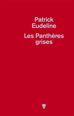 Les Panthères grises - Patrick Eudeline