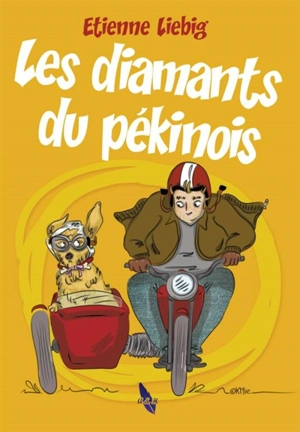 Une enquête de Léda et de son détective Lens Moyard. Les diamants du pékinois - Etienne Liebig