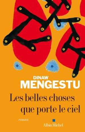 Les belles choses que porte le ciel - Dinaw Mengestu