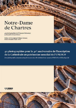 Notre-Dame de Chartres - François Delauney