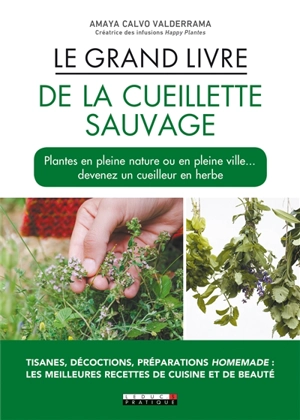 Le grand livre de la cueillette sauvage - Amaya Calvo Valderrama