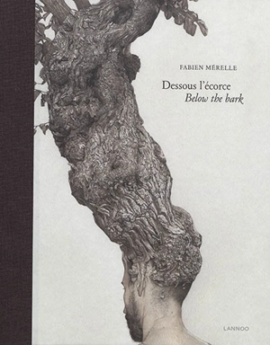 Fabien Mérelle : dessous l'écorce. Fabien Mérelle : below the bark - François Michaud